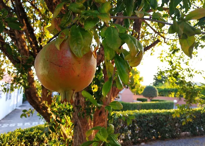 Kyriakos Apartman Afándu